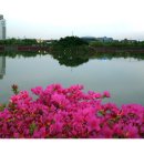 쌍암공원 이미지