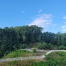 더숲요양병원 이미지