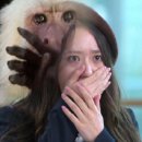 리에프 이미지