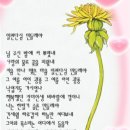 ◆＜一讀＞조용필은 1981년 "일편단심 민들레야"를 발표합니다. 이미지