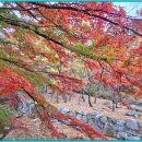 석남로 Daum카페