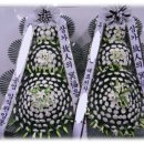 야탑동 351 (분당차병원) 이미지