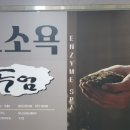 자연발효효소찜질