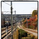 송내목장 이미지