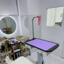 그루비펫 이미지