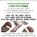 서울상월초등학교 이미지