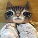만화카페 보니 이미지
