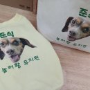놀러왕 이미지