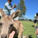 웜벳동물병원 | 두근두근 시드니여행 2
