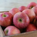 예슬이네 이미지