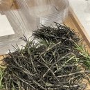 로즈마리테크