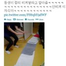 즈려밟고 이미지