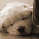 넘버파이브 이미지