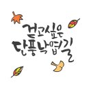 악필 교정과 캘리그라피 이미지
