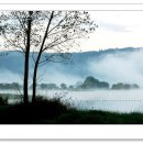 솔미목장 이미지