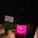 B1 코인 노래연습장 이미지