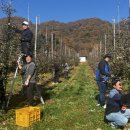 안진농장 이미지