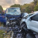 제주하다 이미지