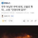 부남면001 Daum카페