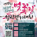 도동 이미지