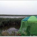 중앙낚시 이미지