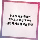 서면의숲 이미지