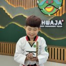 태권도 지화자 이미지