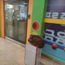 온수당구장