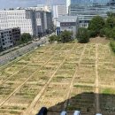 행복을 farm 이미지