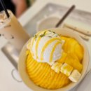 달브로 이미지