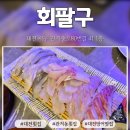 5791 | 관저동 가수원 세꼬시 횟집｜회팔구에서 모듬사시미 한 판!