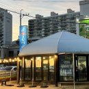 부산산오징어 이미지