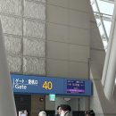 지연야채 | 인천공항 터키항공 TK0021 인천 베네치아 이스탄불 경유 베니스 수화물 기내식 좌석 지연 후기