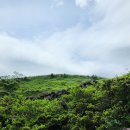 선원2길 이미지