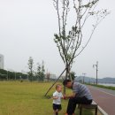 동구청 분수대 이미지