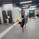 용인대 NO.1 태권도장 이미지