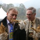 금산인삼쇼핑센터 이미지