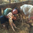 두현농장 이미지