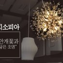 지소피아