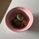 페일블루닷 | [내돈내산] 어페일블루닷 반려견 화식 구매 후기