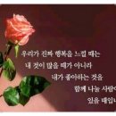 에스와이스토리 이미지