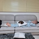 만다린빌리지 이미지