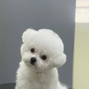 쓰다드멍 이미지
