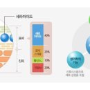 미토바이오 이미지