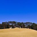 수영오거리 방송통신대입구(36148) | [융건릉] 한 발 한 발 정조의 효심이 느껴지는 왕릉 산책