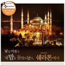 (주)씨제이여행사 이미지