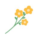 로즈메디산부인과의원 이미지