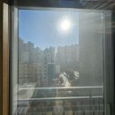 덕진-85 | 전주아파트유리청소 에코시티 데시앙 유리창에 생긴 물때와 얼룩 완벽 제거 후기