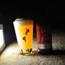 (주)칼리가리 브루잉 이미지