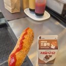 홀리카홀리카안산